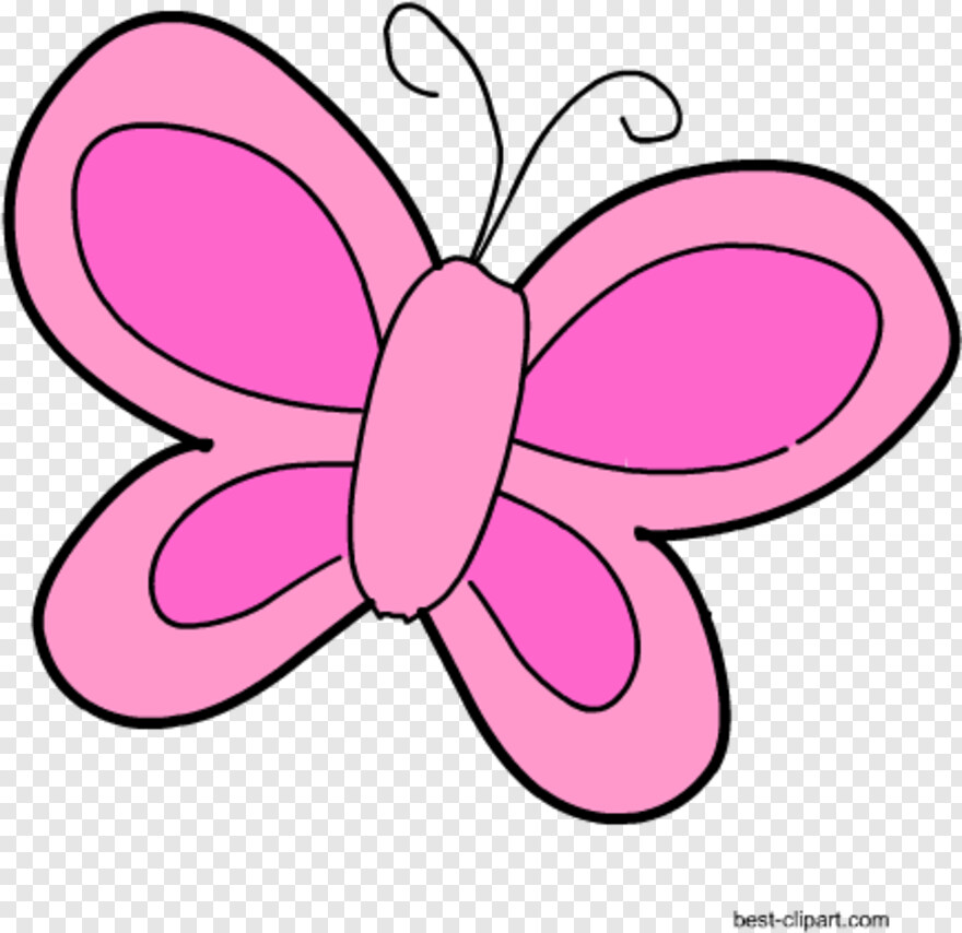 pink-butterfly # 477908