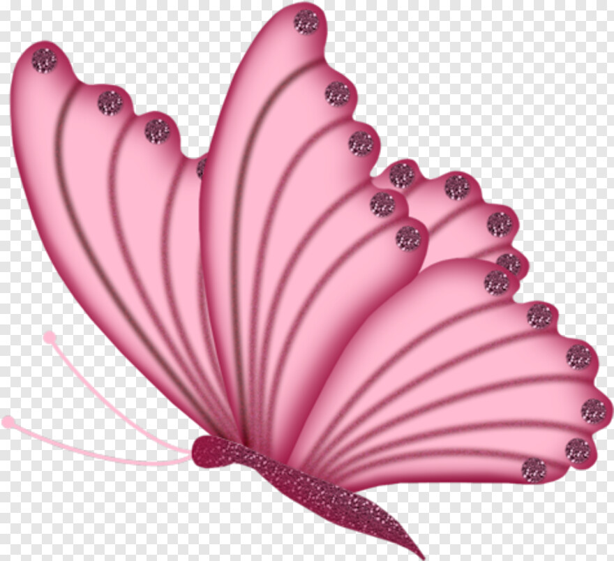 pink-butterfly # 343508