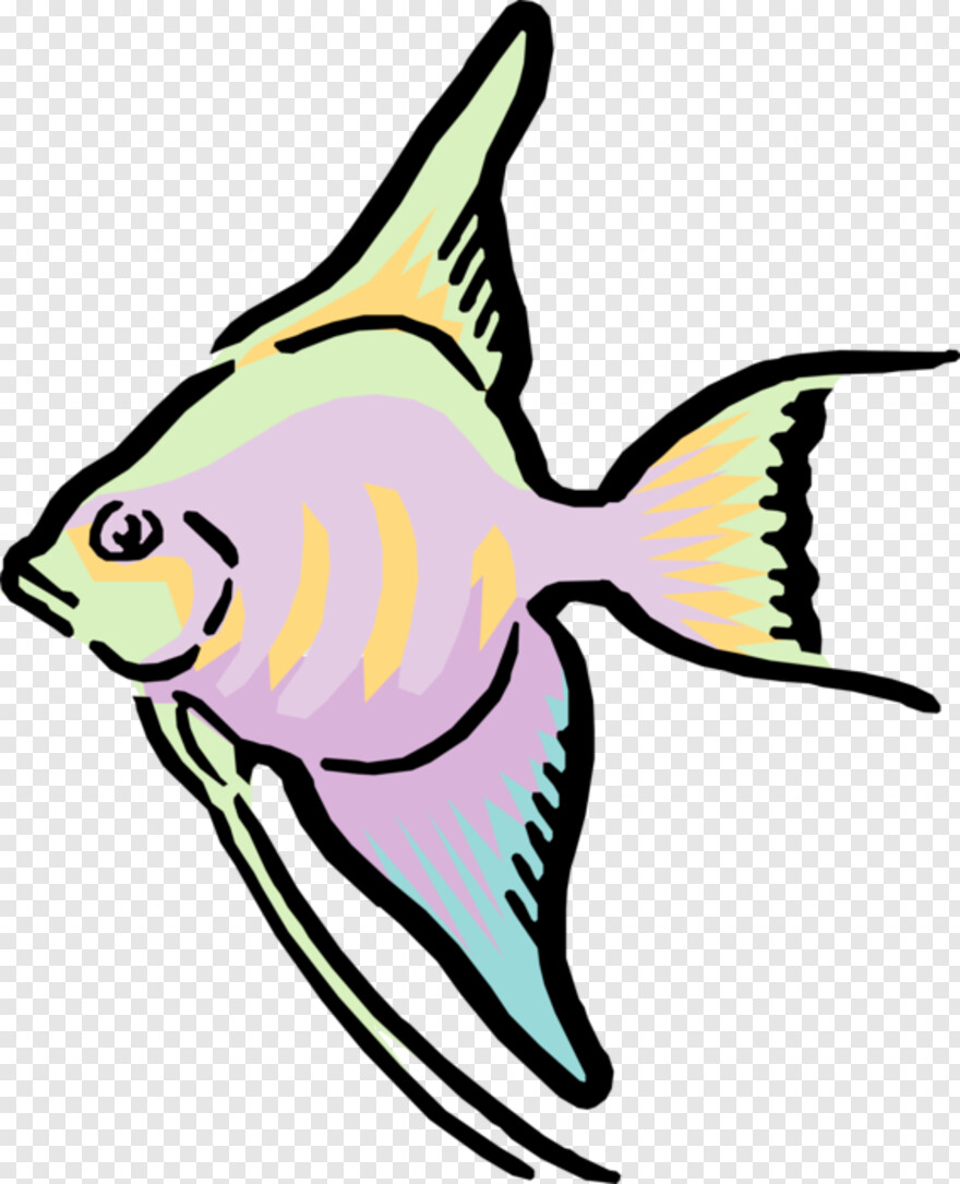 tropical-fish # 832272