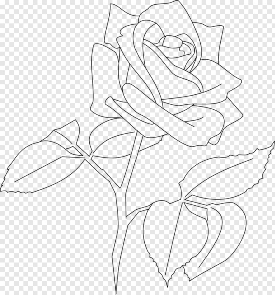  Rose Flower, Flower Line, Rose Design, Pink Rose Flower, Line Design, Single Rose Flower