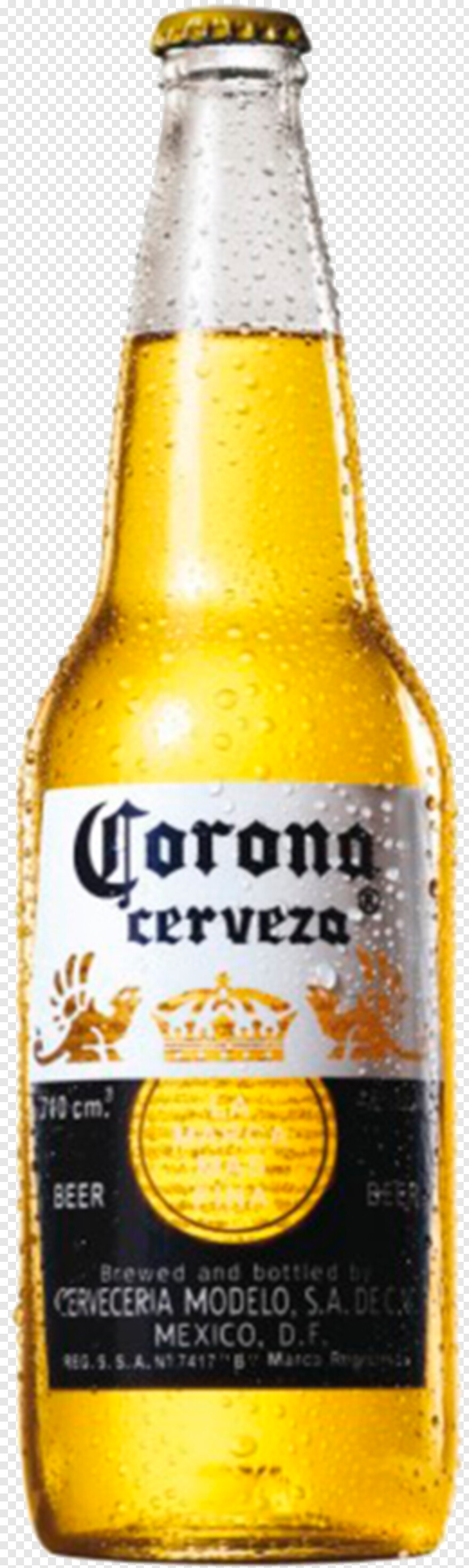 corona-beer # 380838