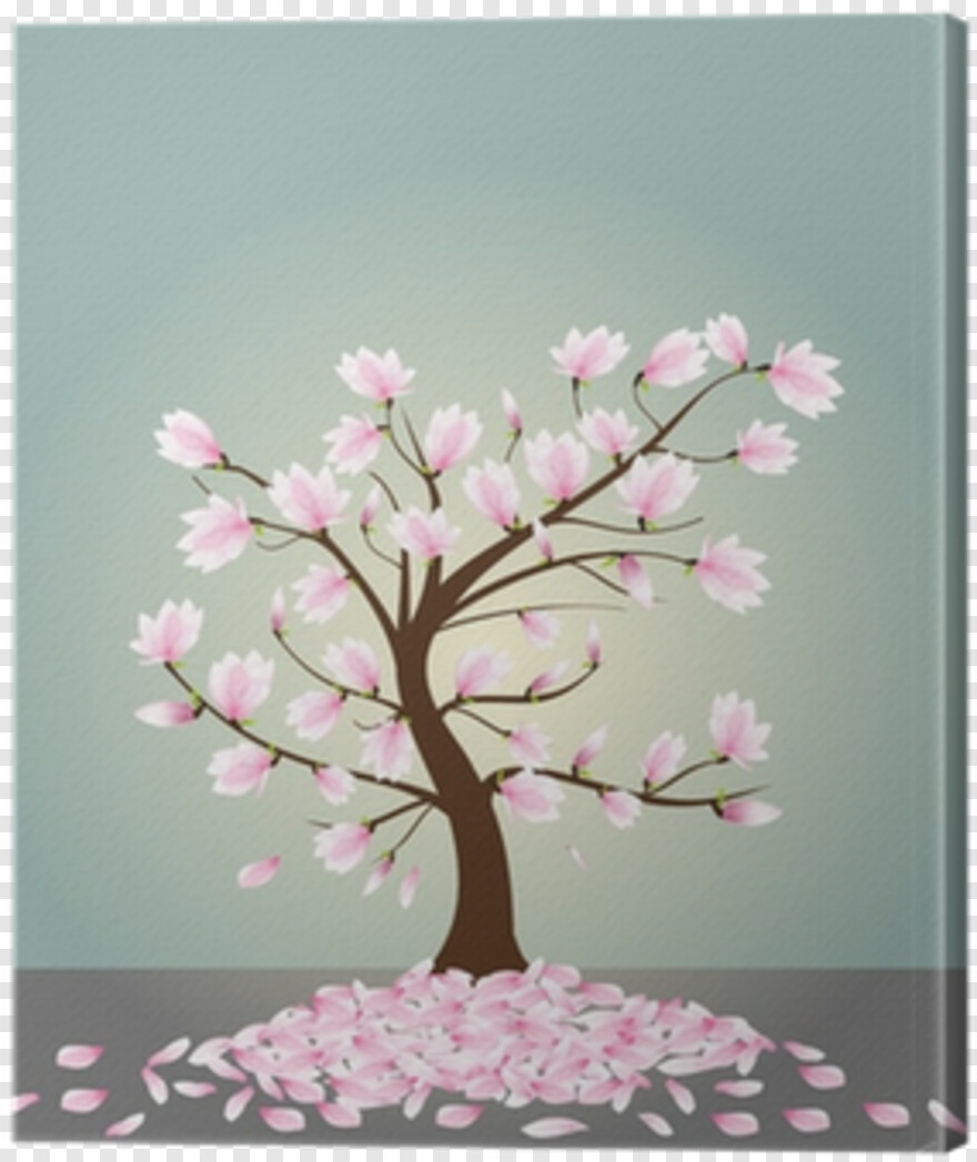 magnolia-tree # 705365