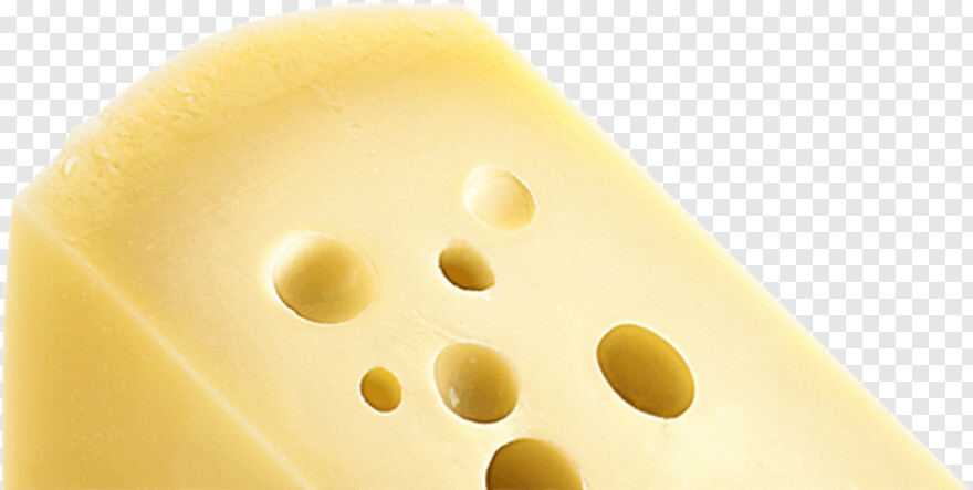 swiss-cheese # 1030100