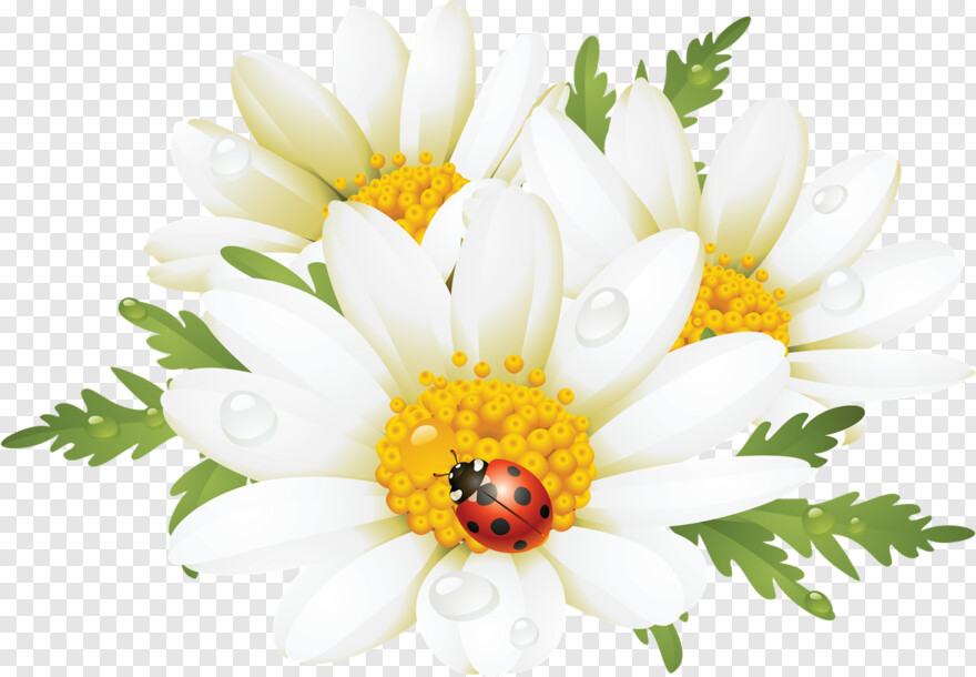 flower-clipart # 384707