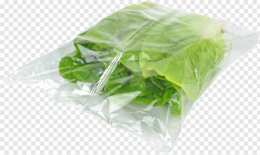 lettuce # 540115
