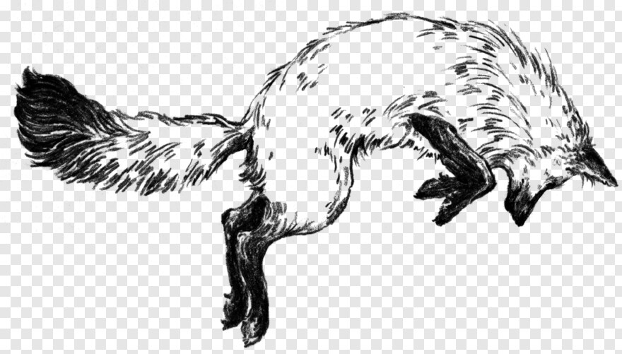 fox-logo # 1088271