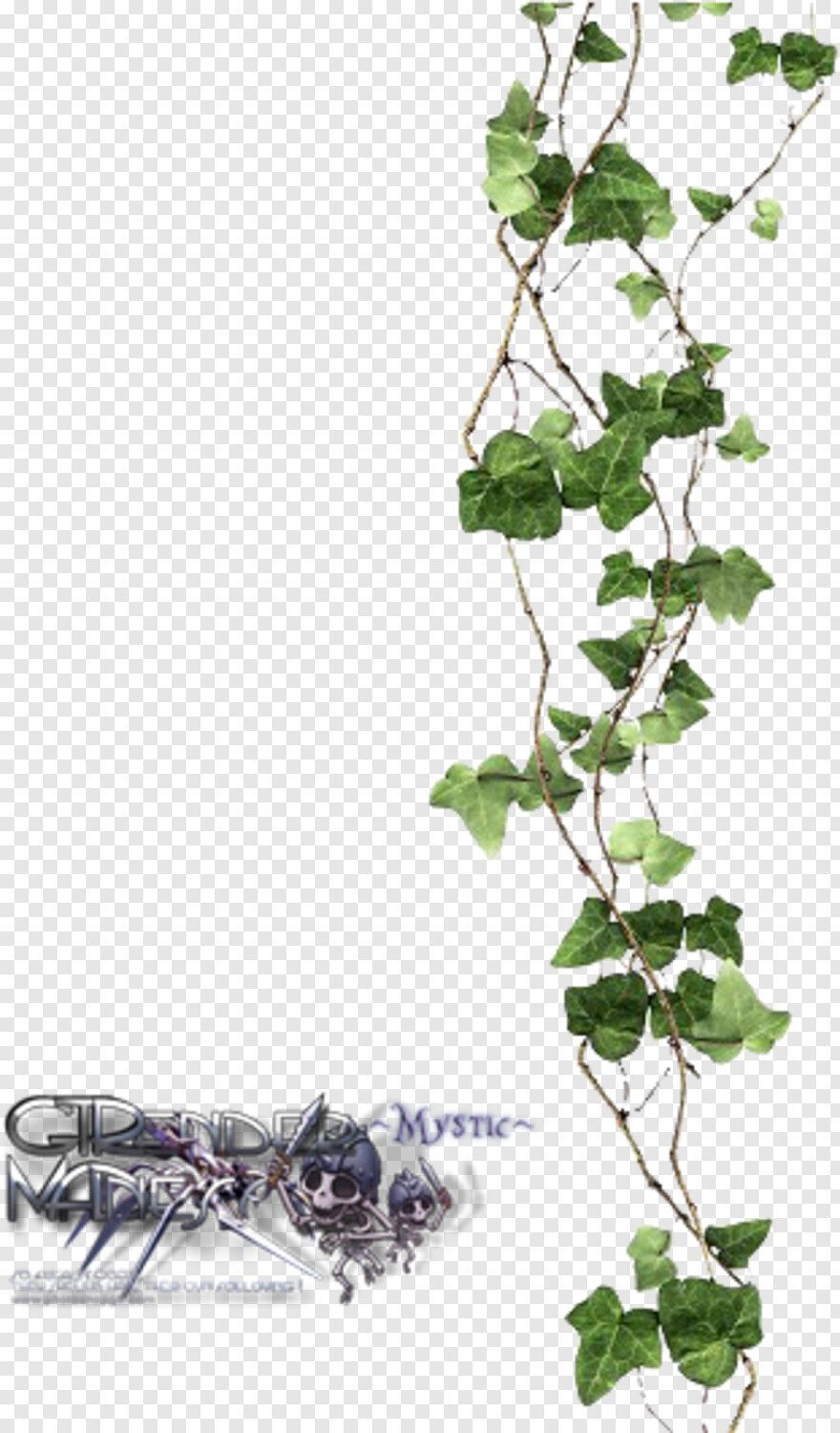 hanging-vines # 429013