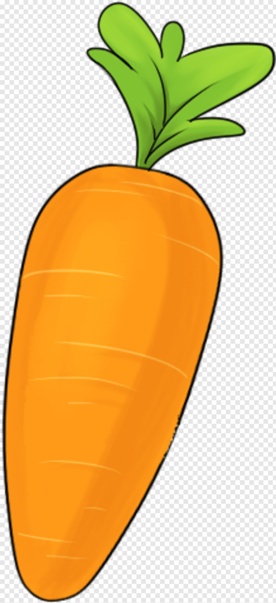 carrot # 365833