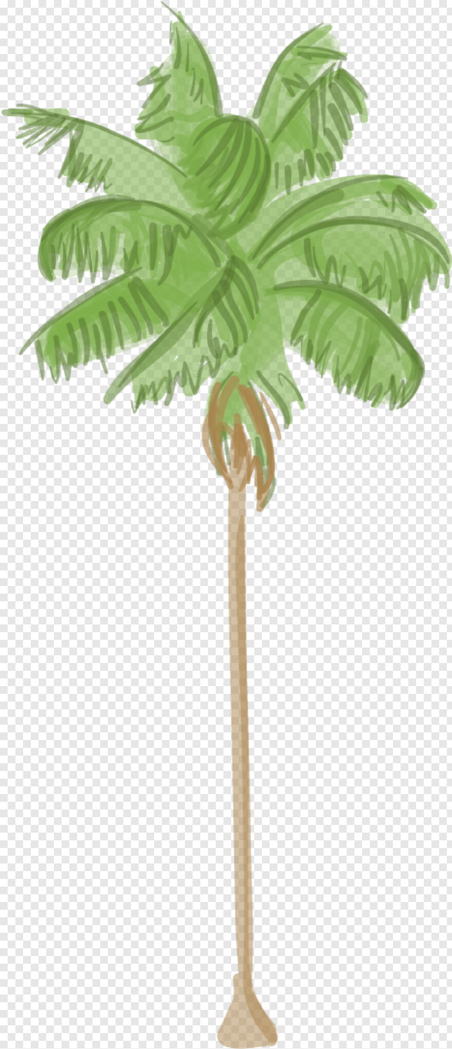 palm-tree-silhouette # 517065