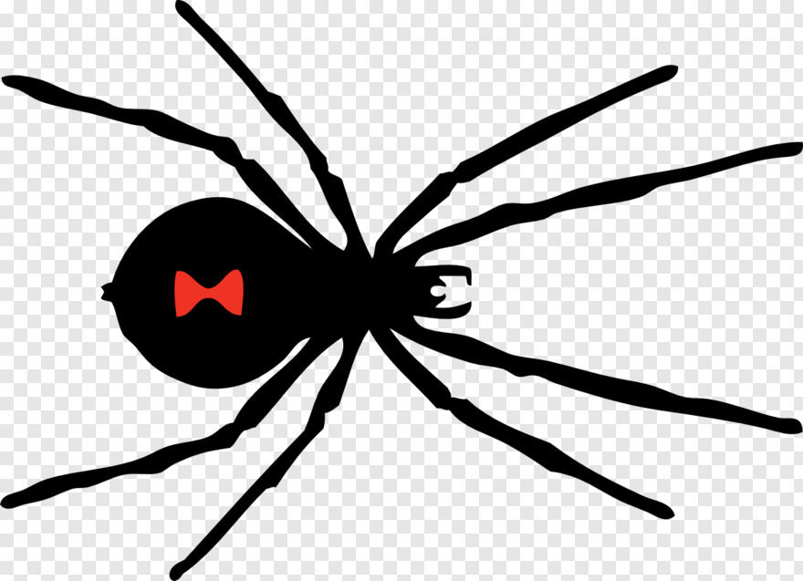 black-widow-spider # 1000472
