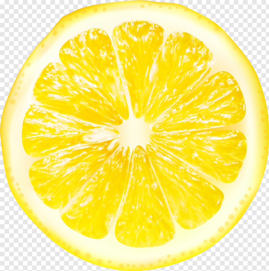 lemon-slice # 719435