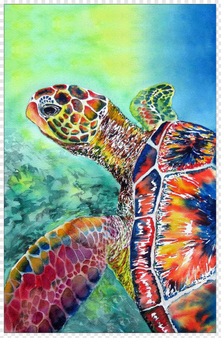  Turtle Shell, Watercolor Circle, Turtle Silhouette, Turtle Clipart, Turtle, Sea Turtle