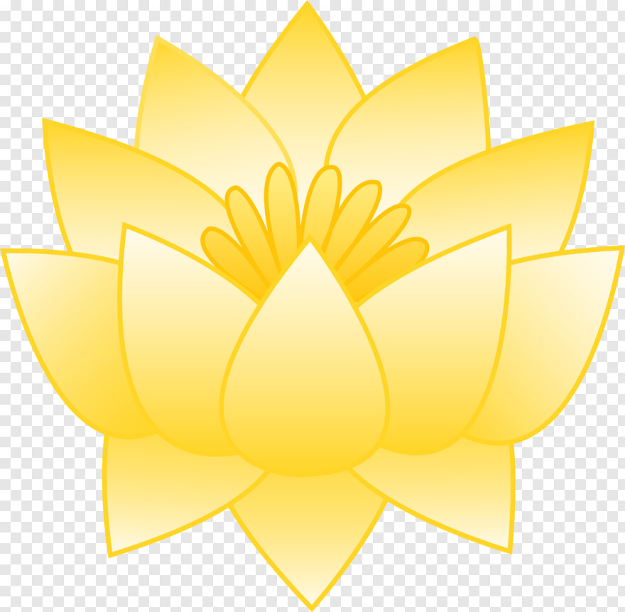 lotus-flower # 1000473