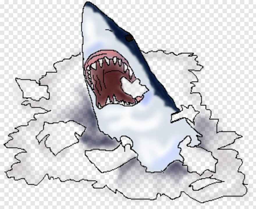 great-white-shark # 452501