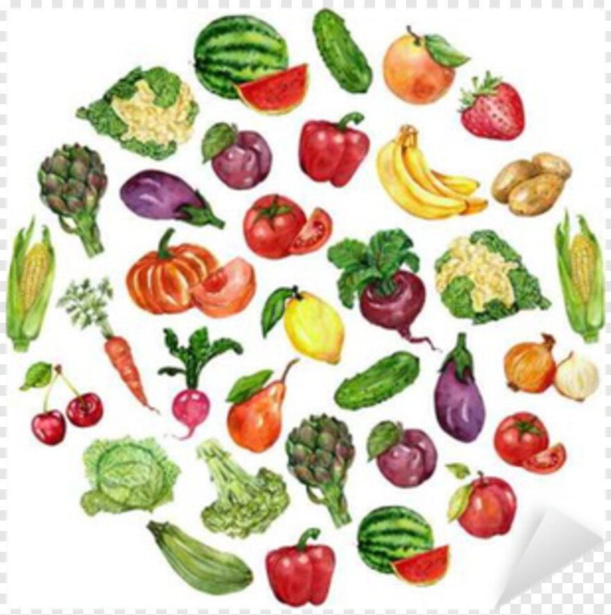  Fruits And Vegetables, Tea Set, Watercolor Texture, Drum Set, Sticker, Watercolor Circle