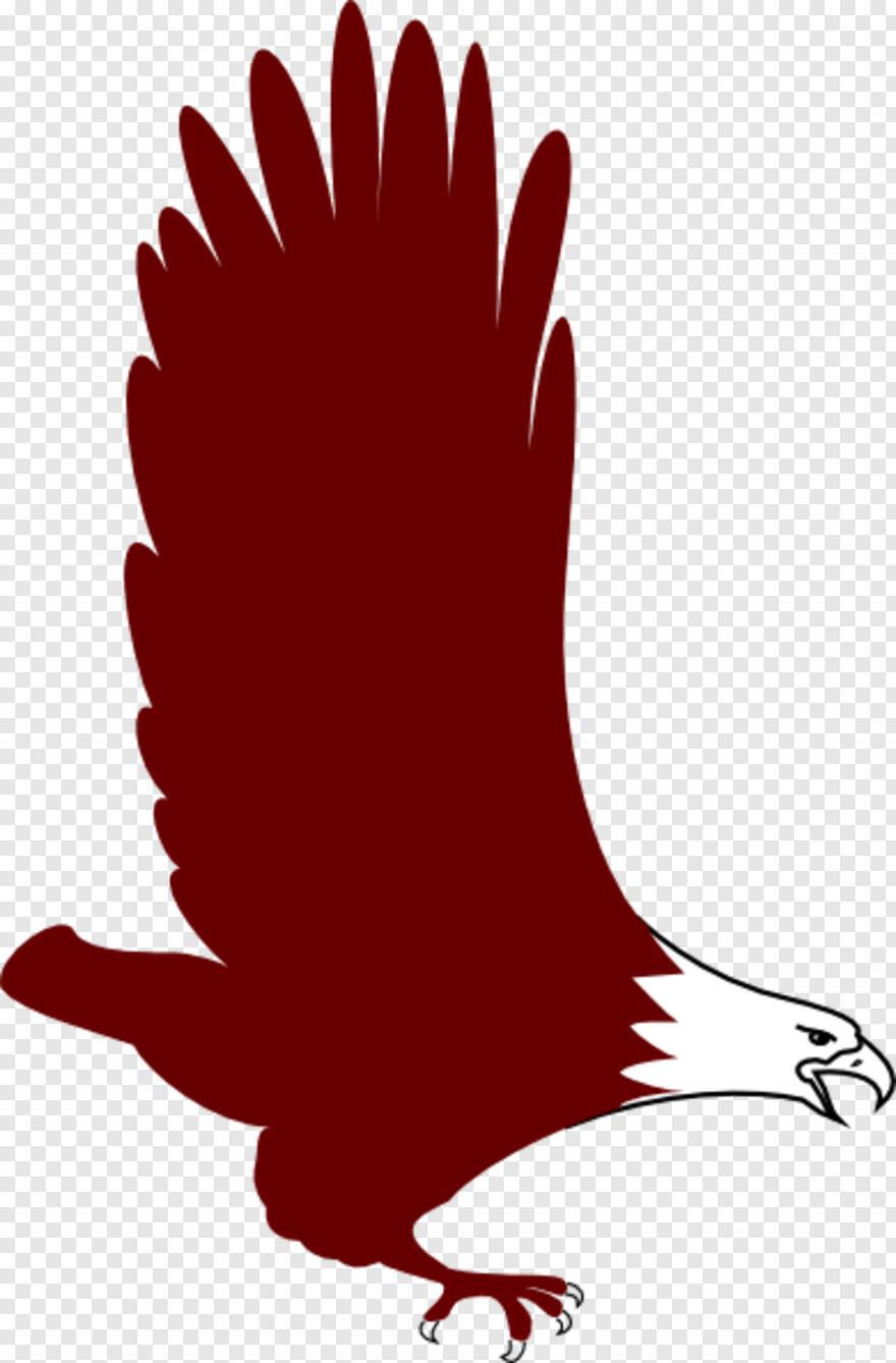 american-flag-eagle # 471920