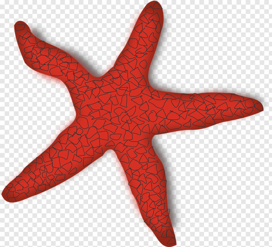 star-fish # 832043