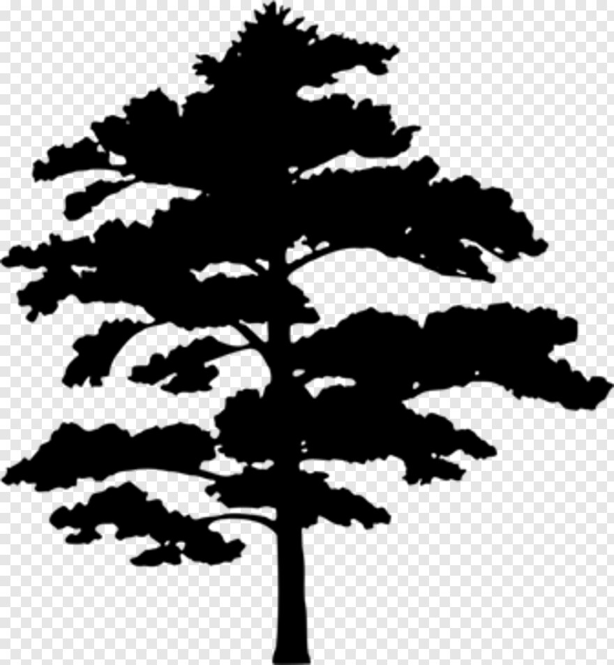 tree-icon # 459305
