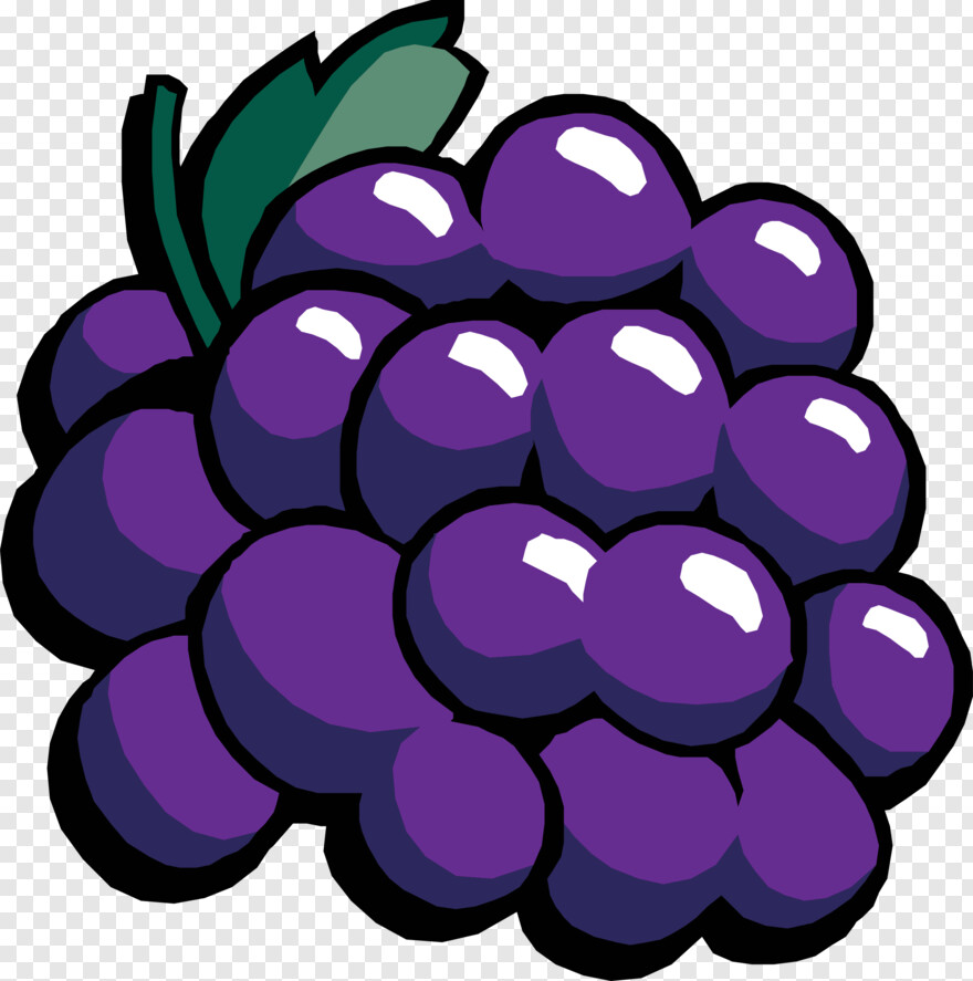 grapes # 786913