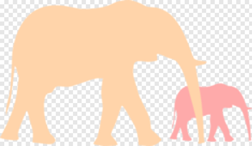 baby-elephant # 514008