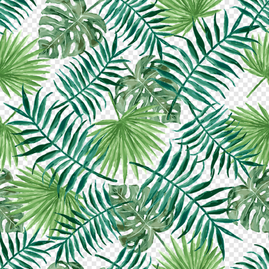 palm-tree-leaf # 336588