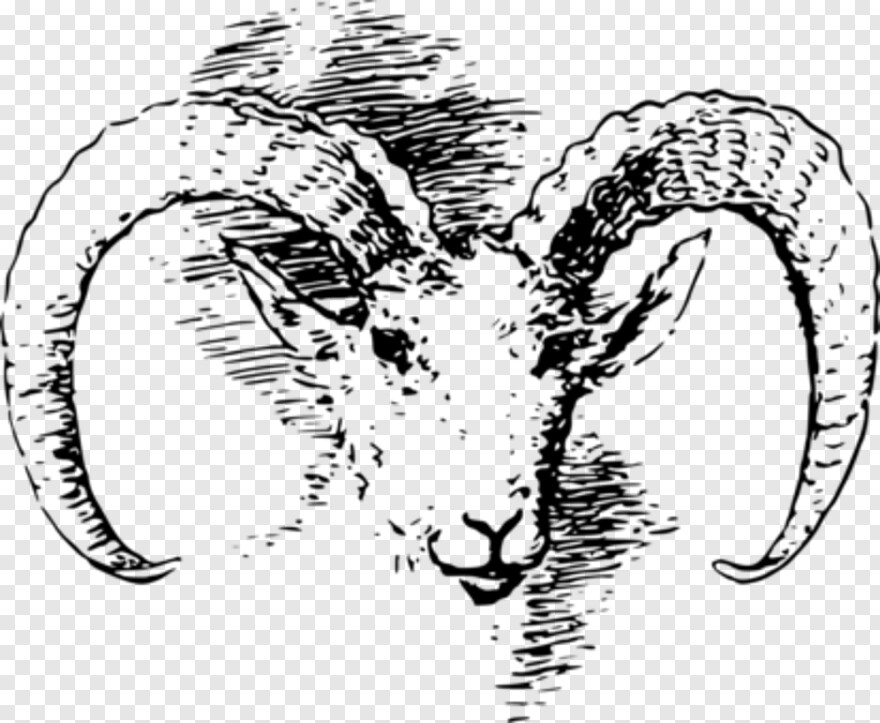 goat-head # 470188