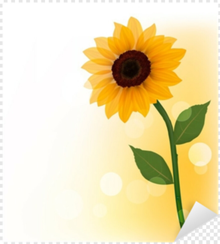 sunflower-vector # 385245
