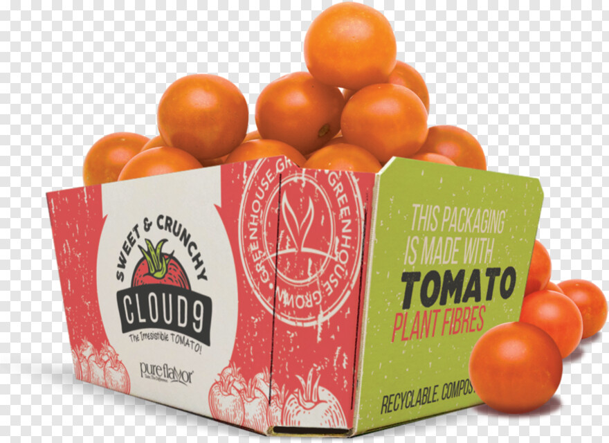 tomato-slice # 314617