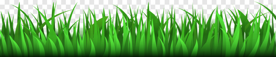 Animated Gif, Ornamental Grass, Green Grass, Fire Gif, Grass Hill, Smoke Gif  #798507 - Free Icon Library