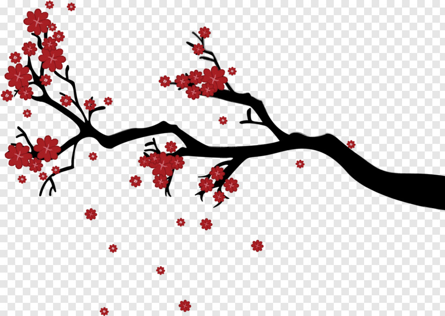 cherry-blossom-petals # 344353