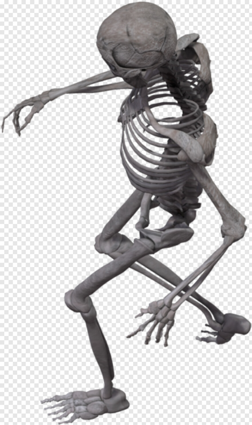  Skeleton Head, Skeleton, Skeleton Hand, Skeleton Key, Skeleton Arm, Strong Arm