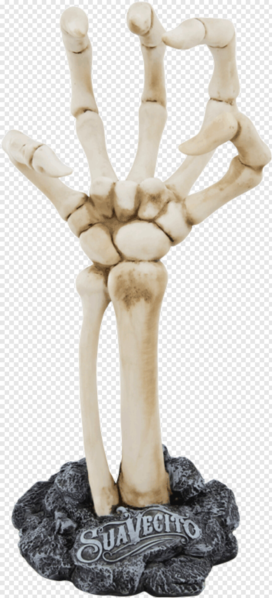  Skeleton Hand, Gun In Hand, Hand Pointing, Back Of Hand, Master Hand, Skeleton