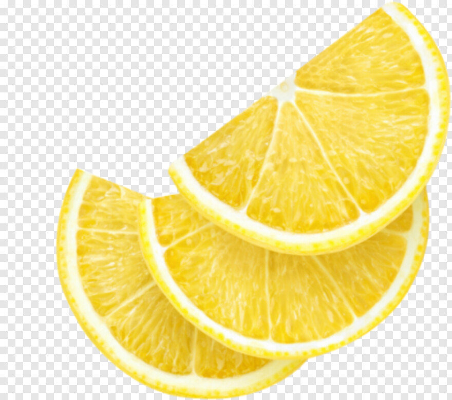 lemon-slice # 719225