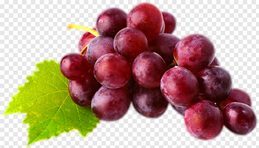 grapes # 428933