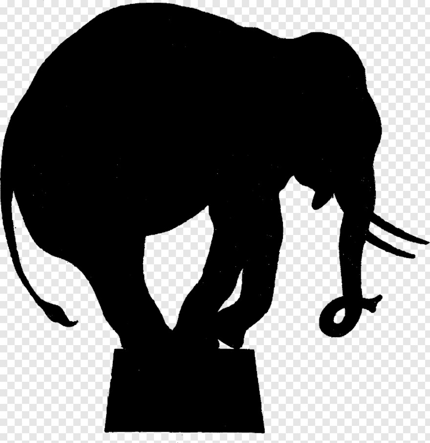 circus-elephant # 1010298