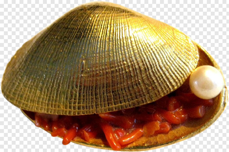 clam-shell # 456531