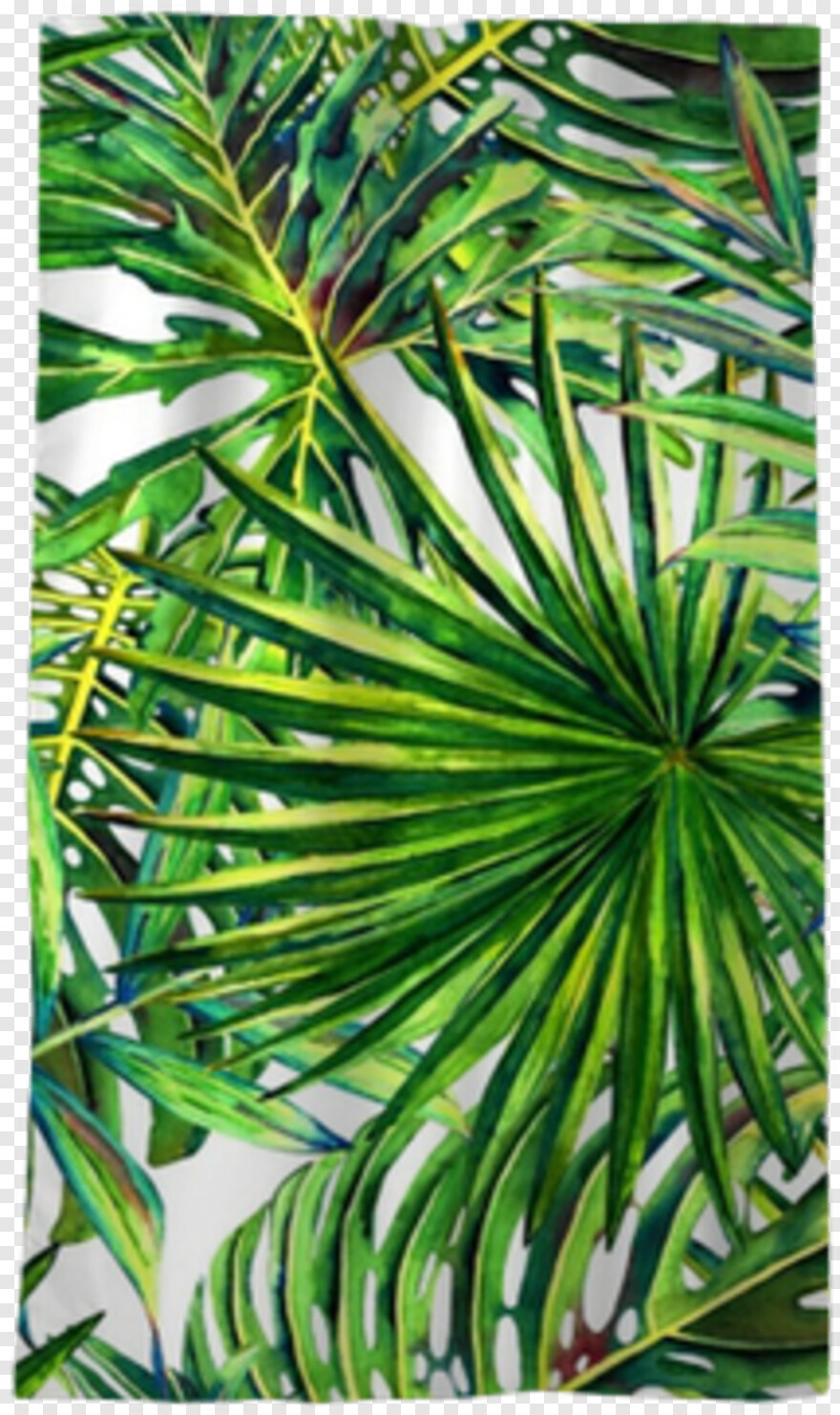 palm-leaves # 935442