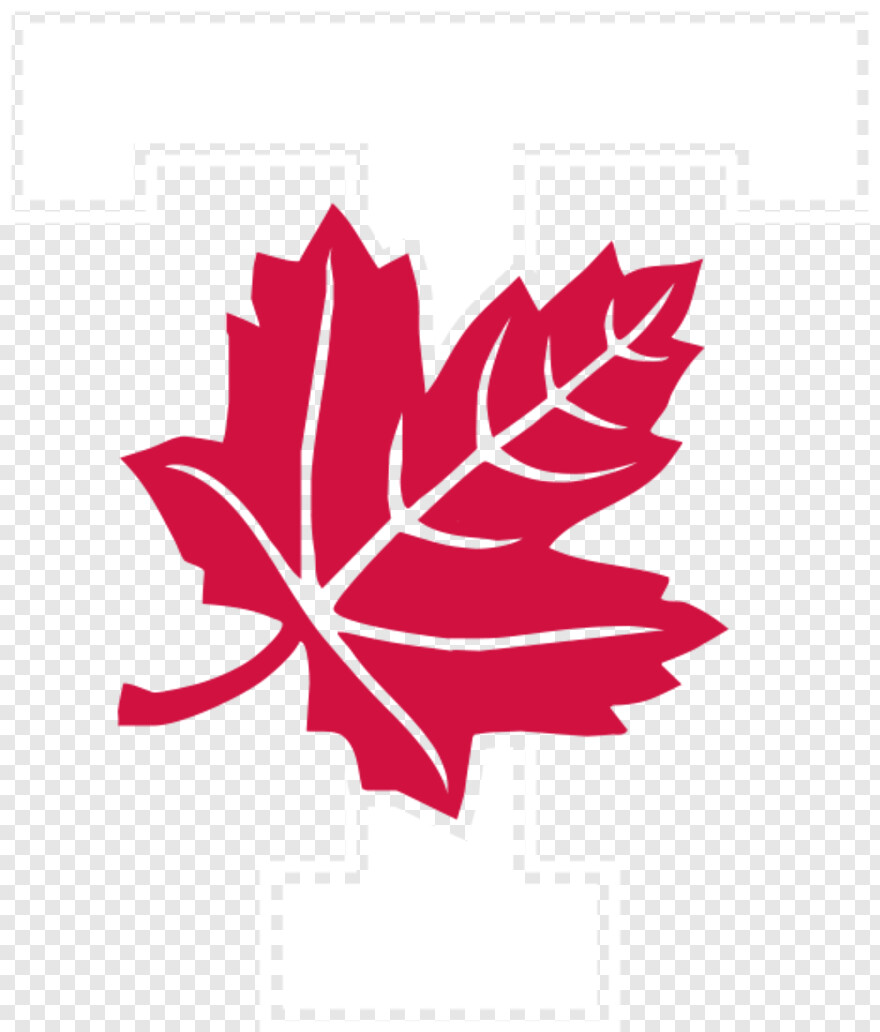 toronto-maple-leafs-logo # 341472