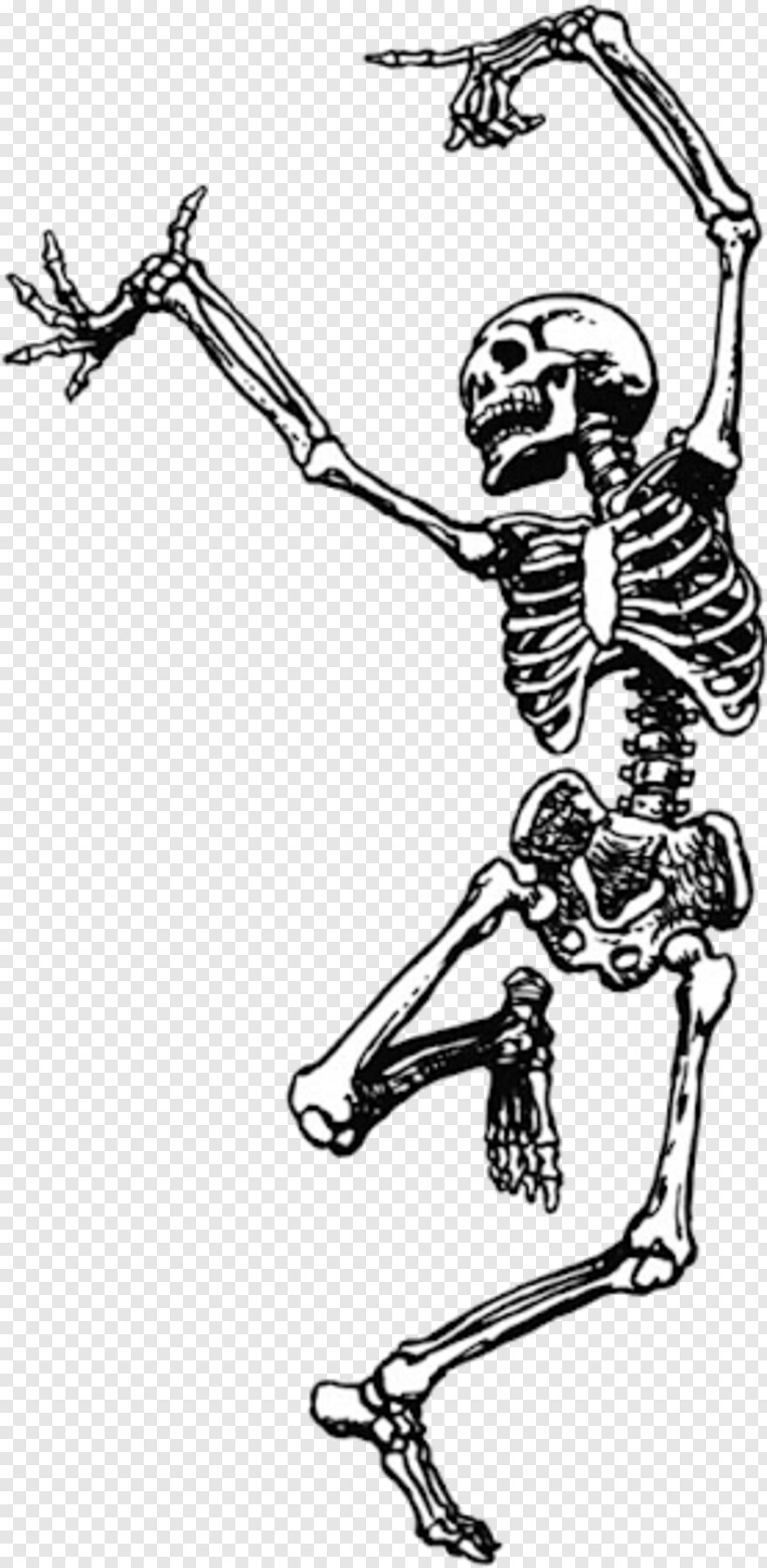  Skeleton, Dancing Gif, Skeleton Hand, Skeleton Arm, Skeleton Head, Skeleton Key