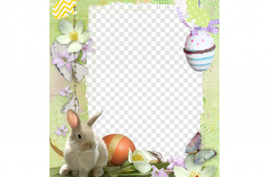 cute-bunny # 329190