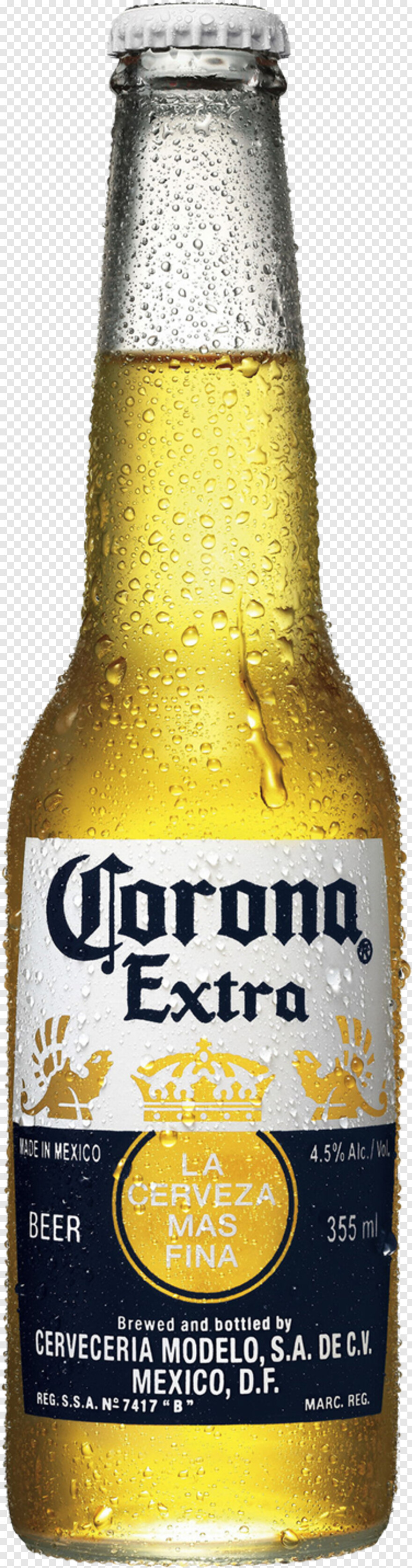 corona-beer # 381206