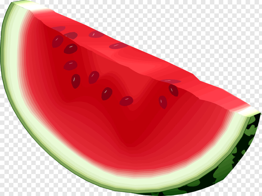 watermelon-slice # 428911