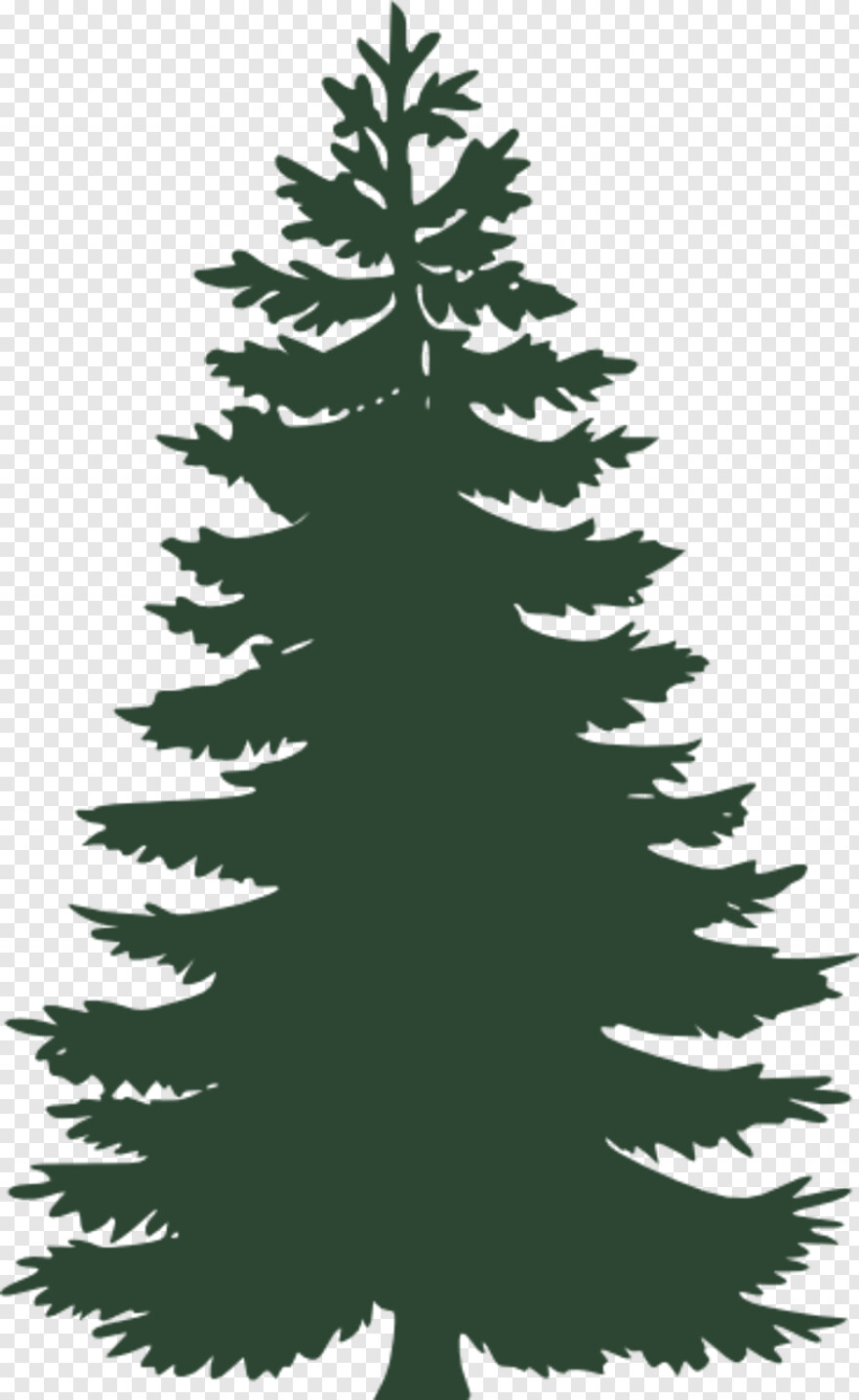 pine-tree-clip-art # 459199