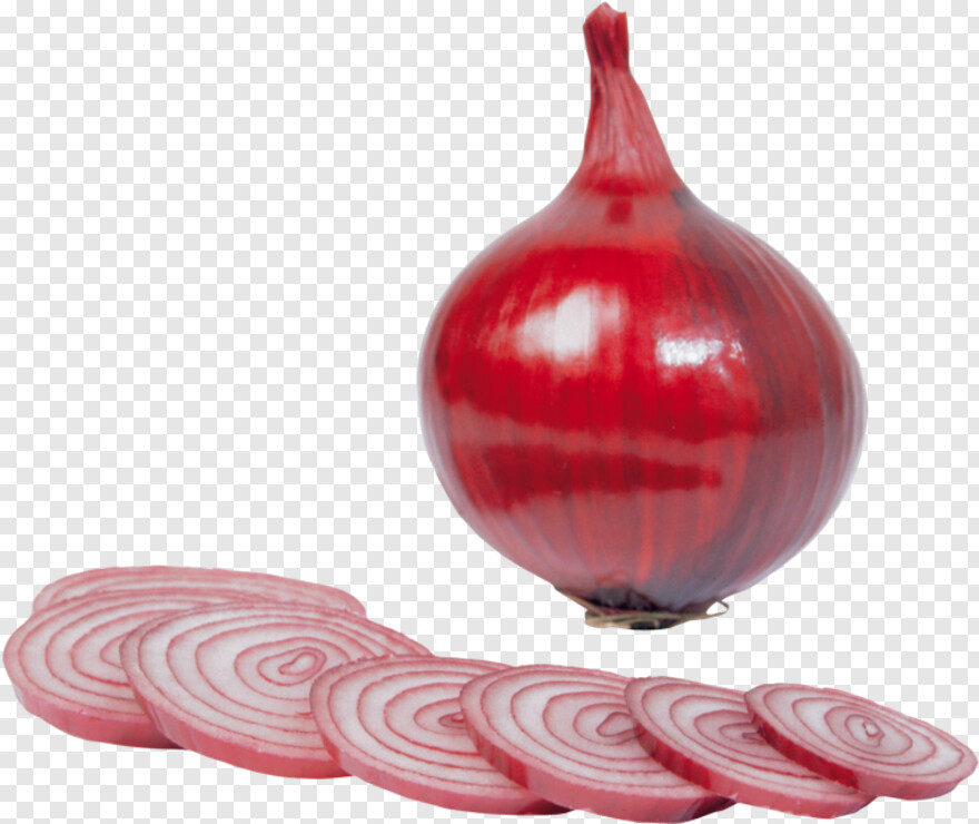 onion # 670311