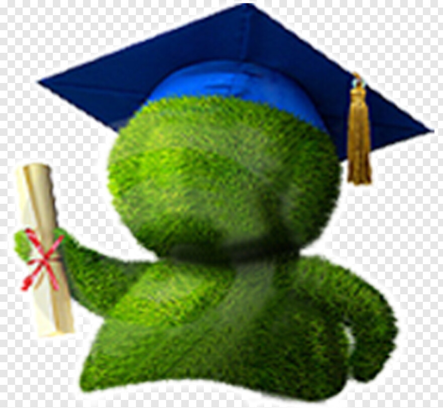 graduation-hat # 787478
