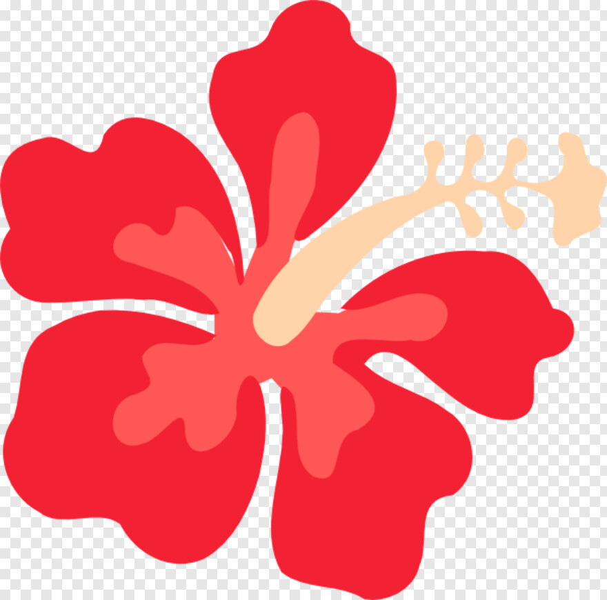 hibiscus-flower # 356767