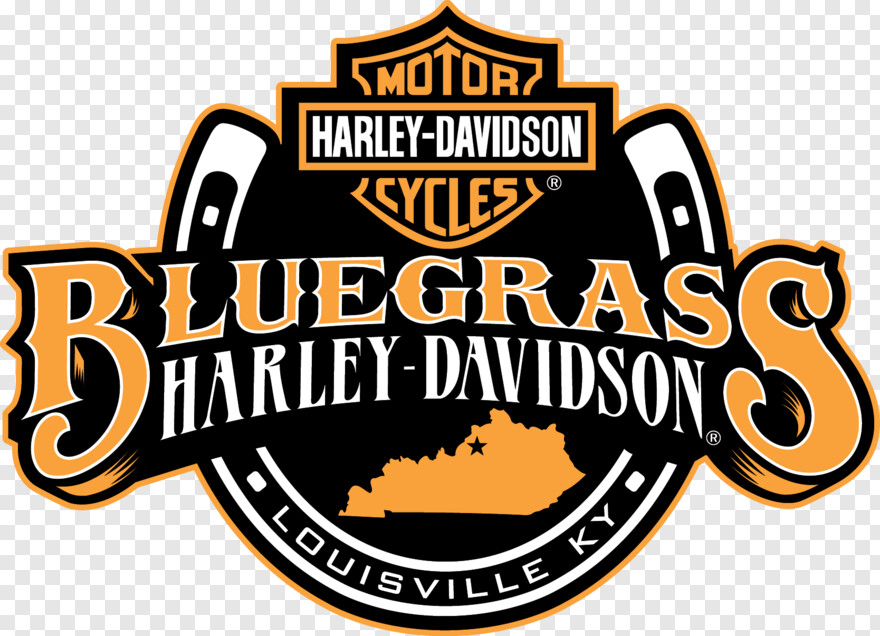  Harley Quinn, Harley Davidson Logo, Harley Davidson, Harley Davidson Bike, Harley