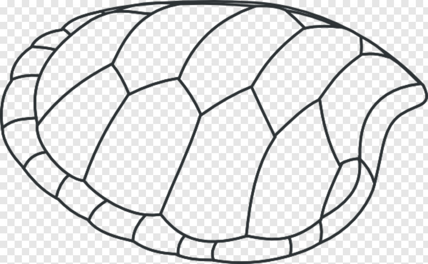  Turtle Shell, Clam Shell, Turtle Clipart, Sea Shell, Shell, Turtle