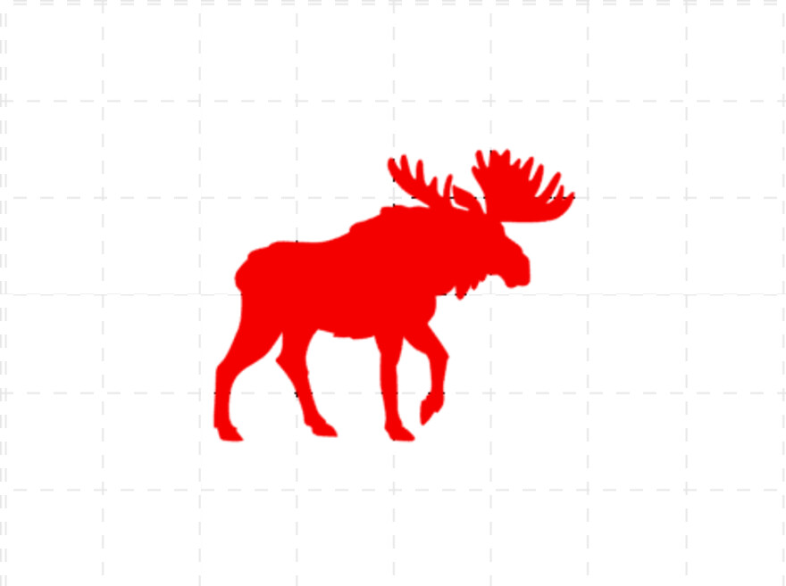 moose # 442205