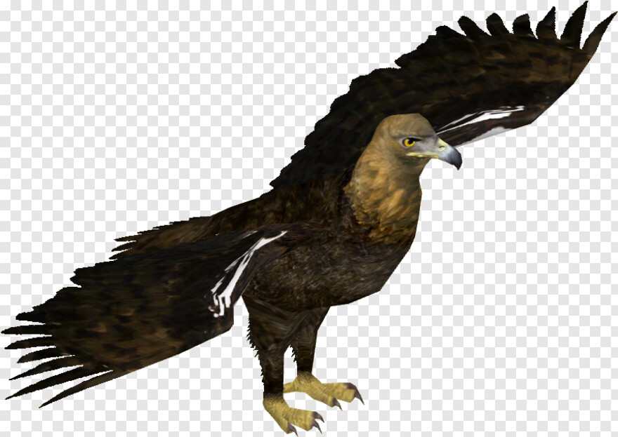 eagle-silhouette # 360720